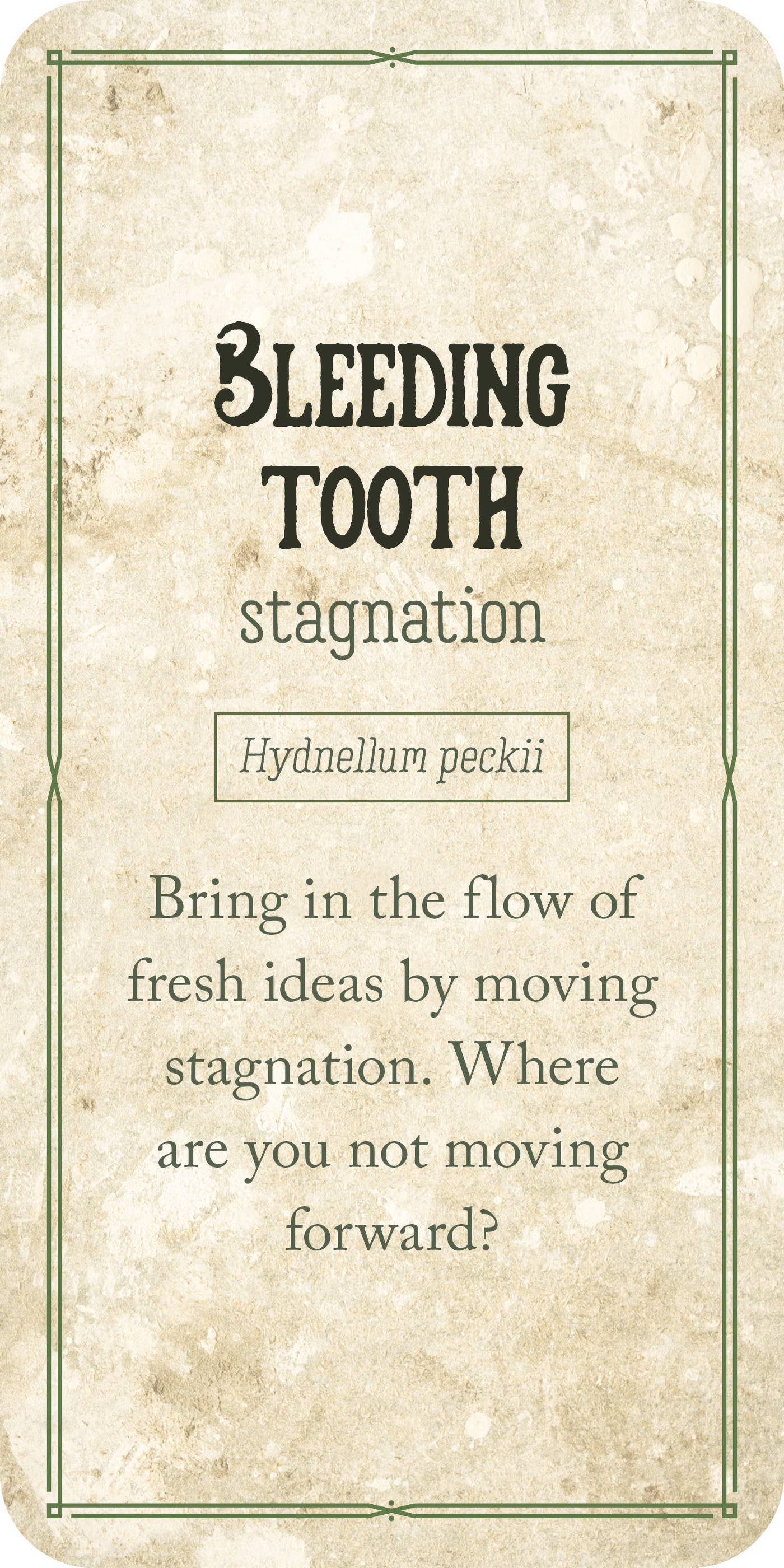 Mushroom Affirmations