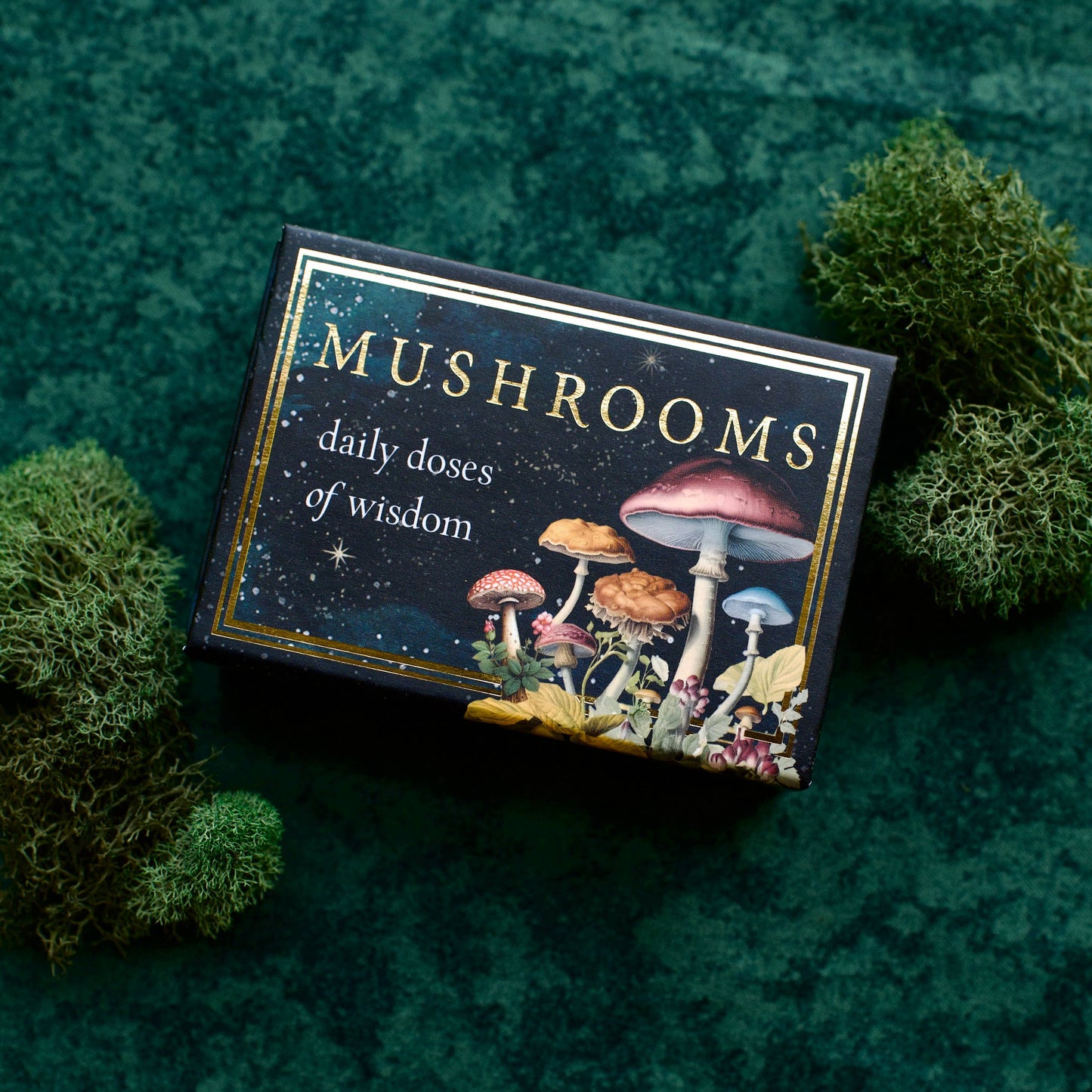 Mushrooms: Daily Doses of Wisdom
