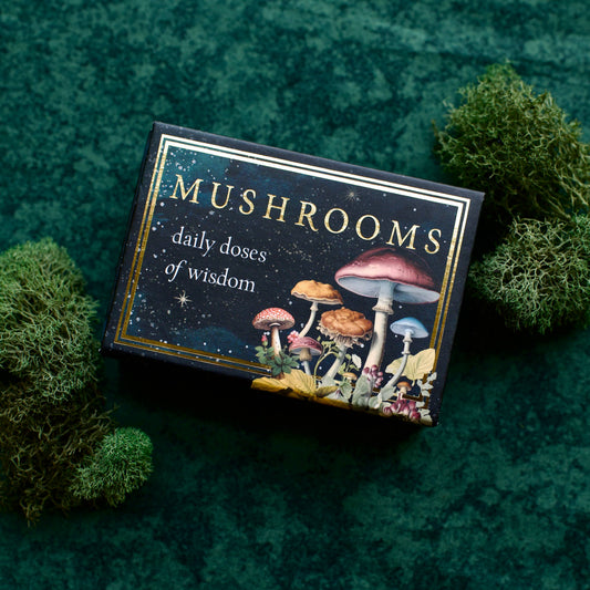 Mushrooms: Daily Doses of Wisdom
