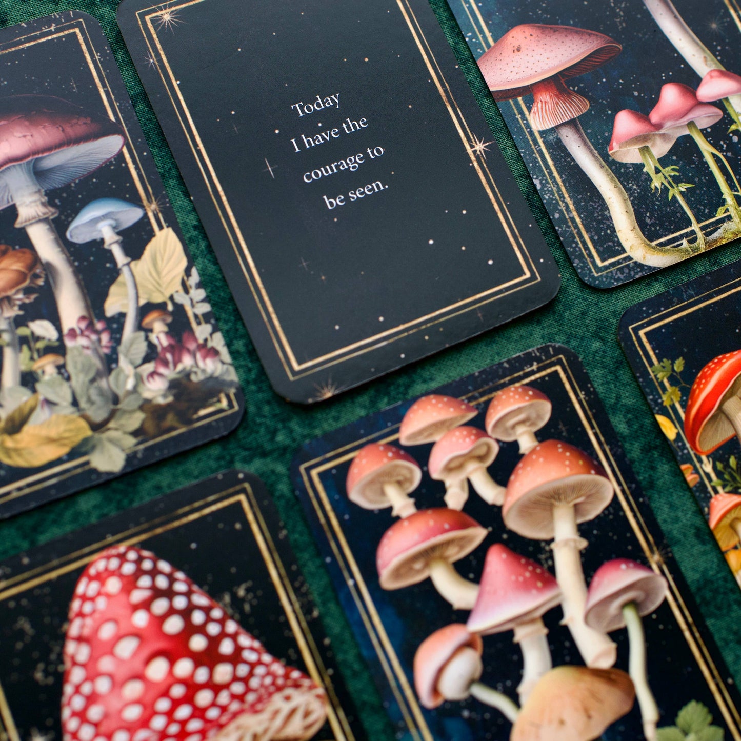 Mushrooms: Daily Doses of Wisdom