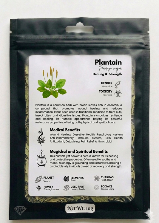 Plantain 10g