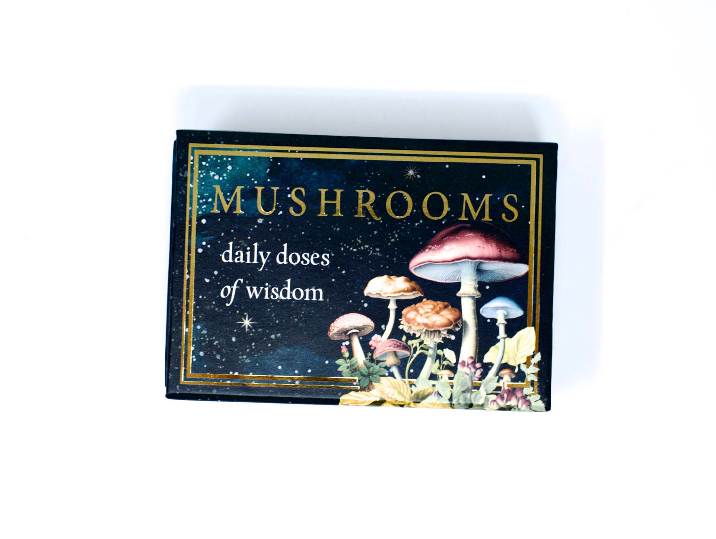 Mushrooms: Daily Doses of Wisdom