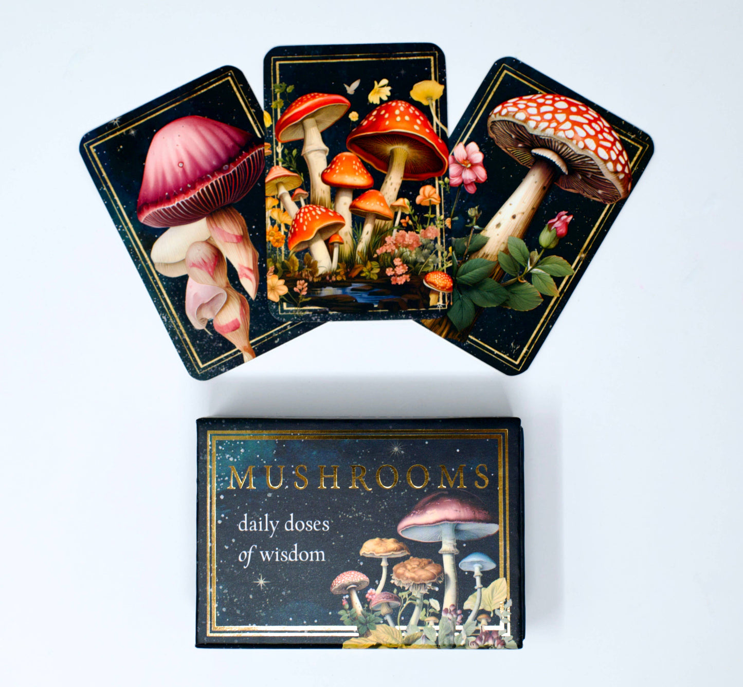 Mushrooms: Daily Doses of Wisdom