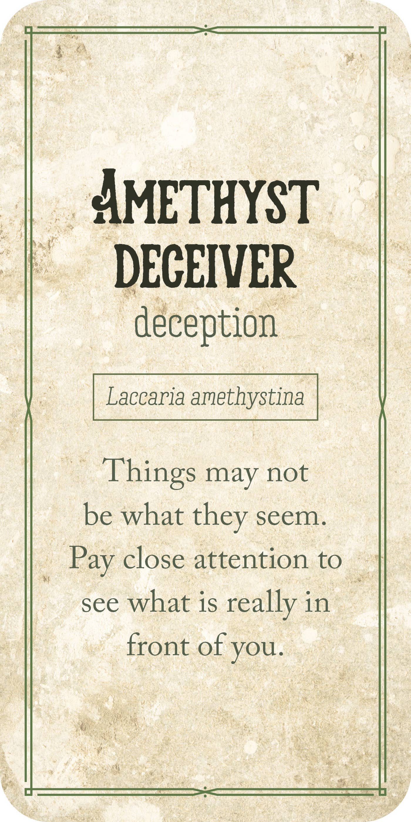 Mushroom Affirmations