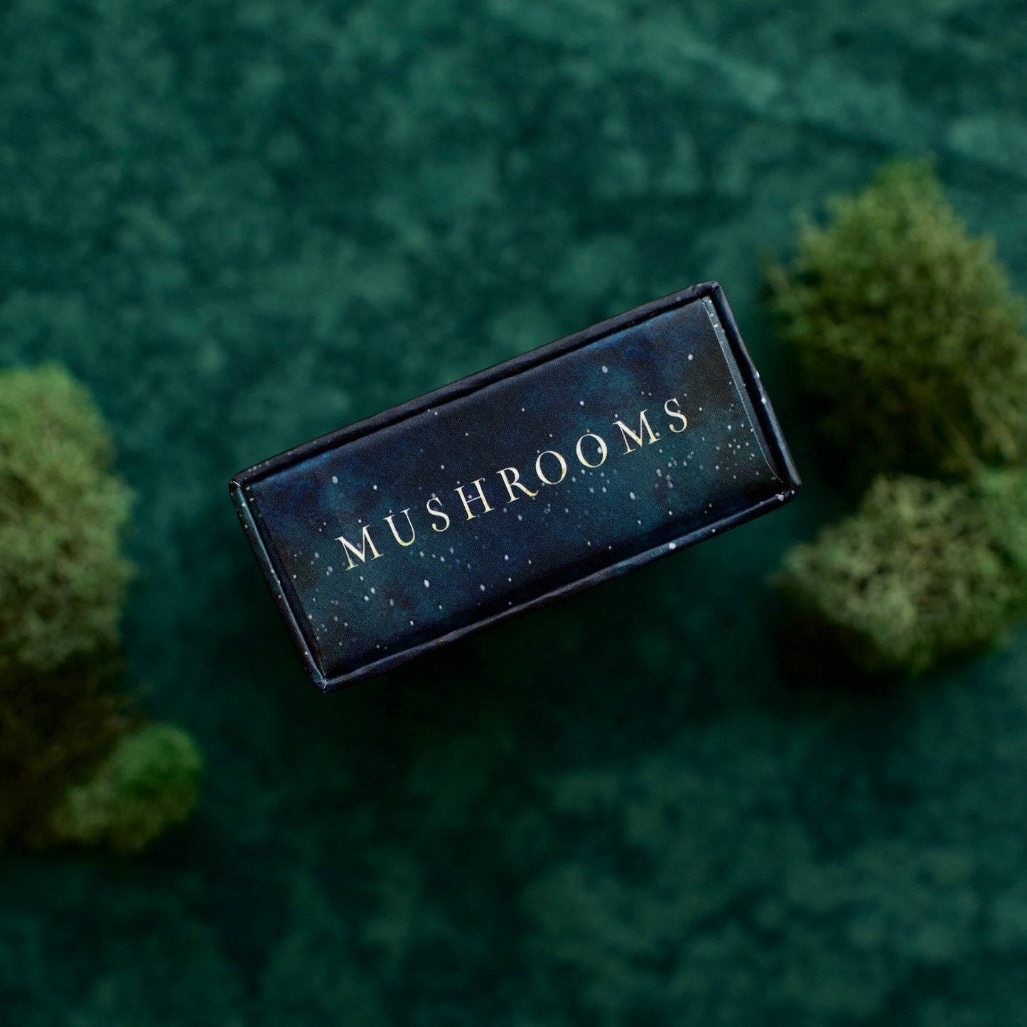 Mushrooms: Daily Doses of Wisdom