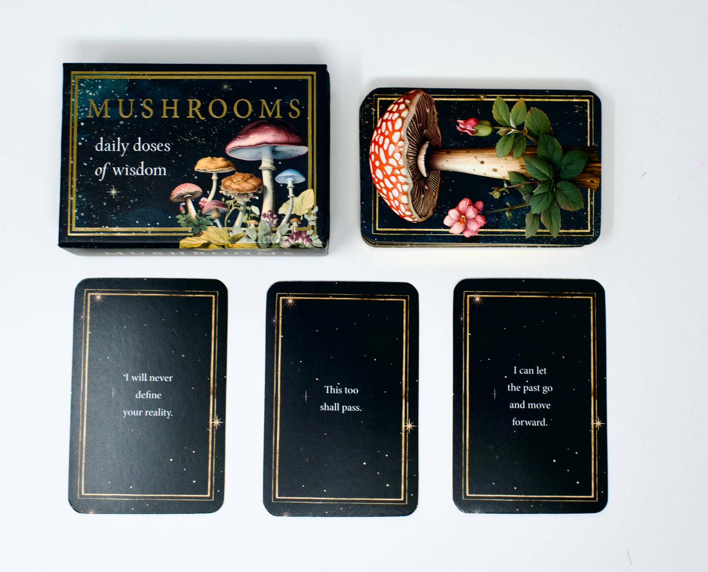 Mushrooms: Daily Doses of Wisdom