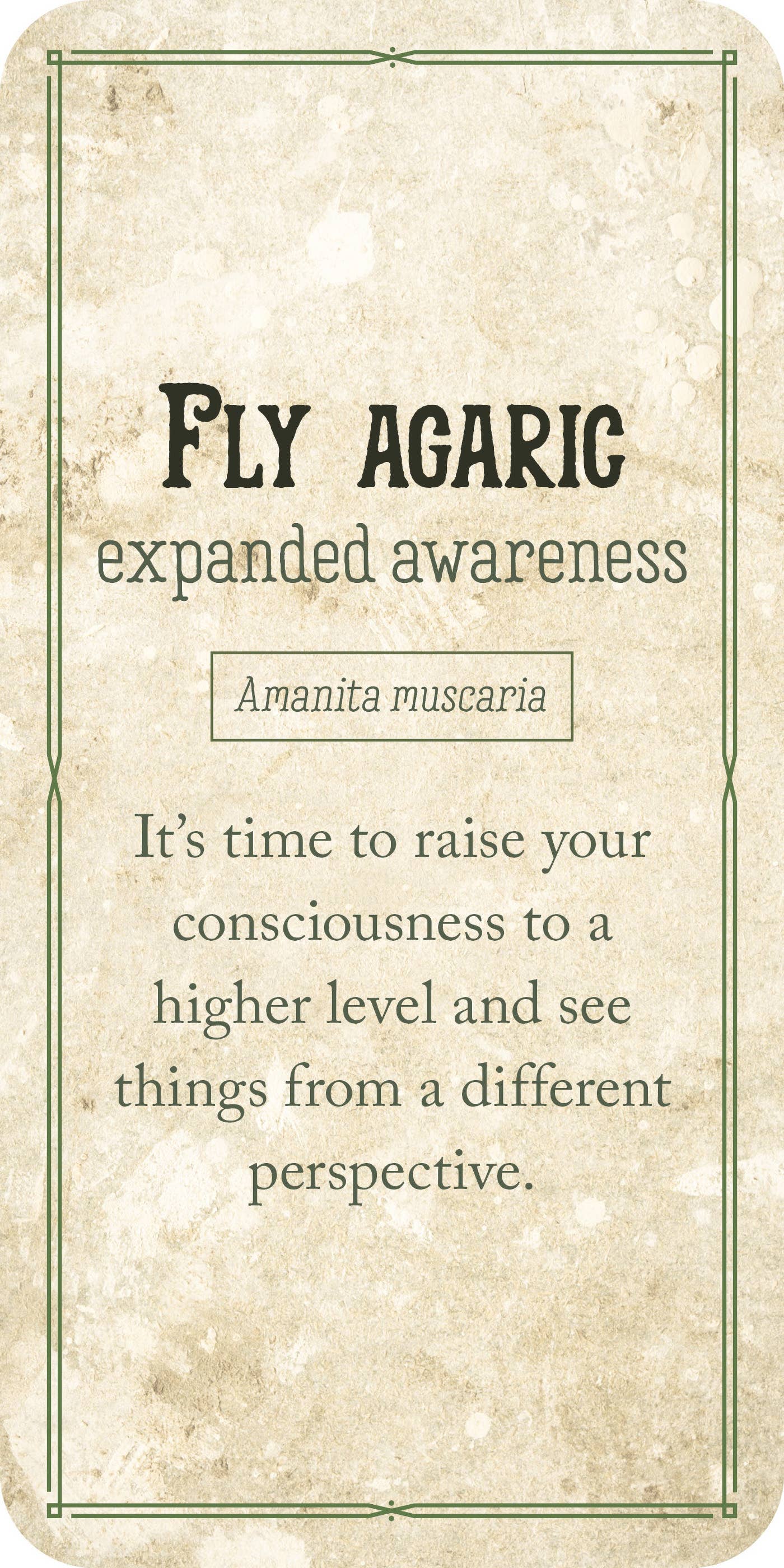 Mushroom Affirmations