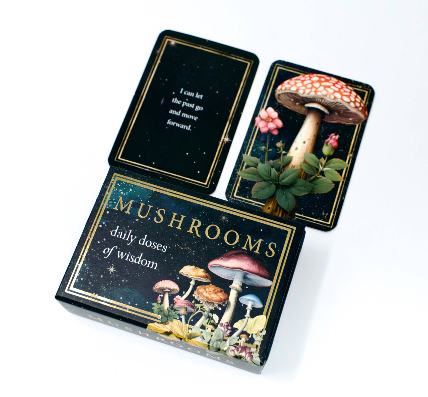 Mushrooms: Daily Doses of Wisdom