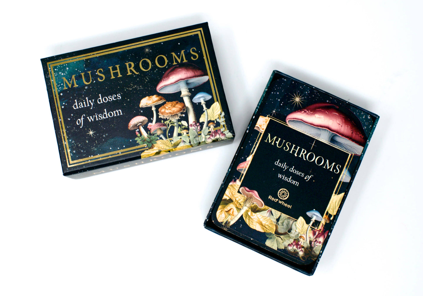 Mushrooms: Daily Doses of Wisdom