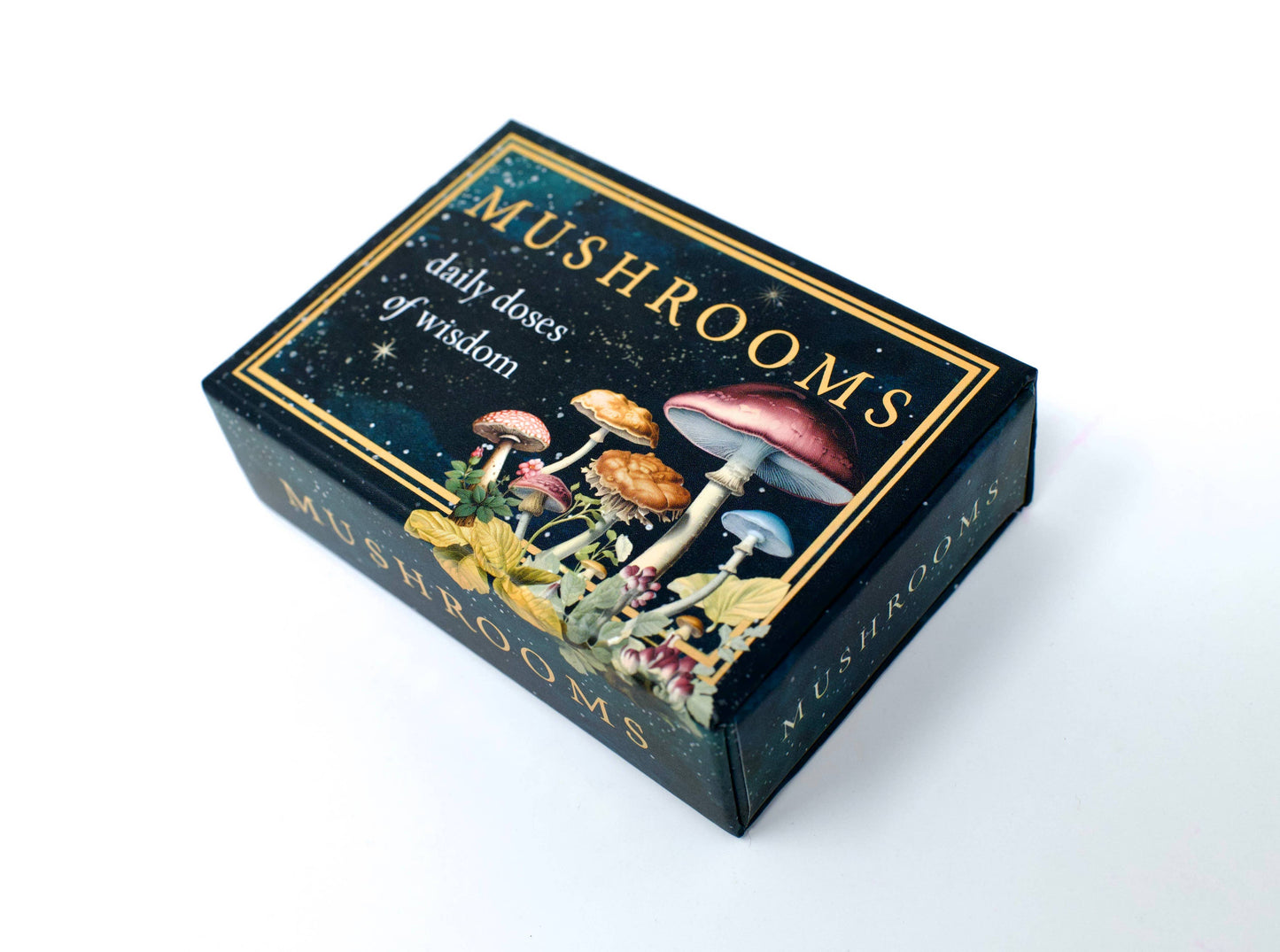 Mushrooms: Daily Doses of Wisdom
