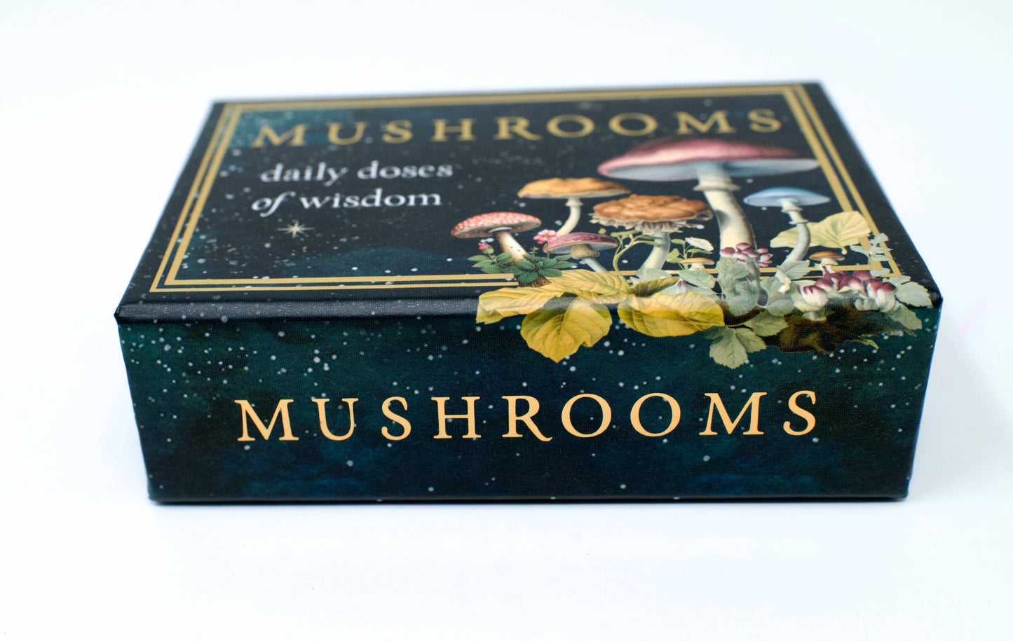 Mushrooms: Daily Doses of Wisdom