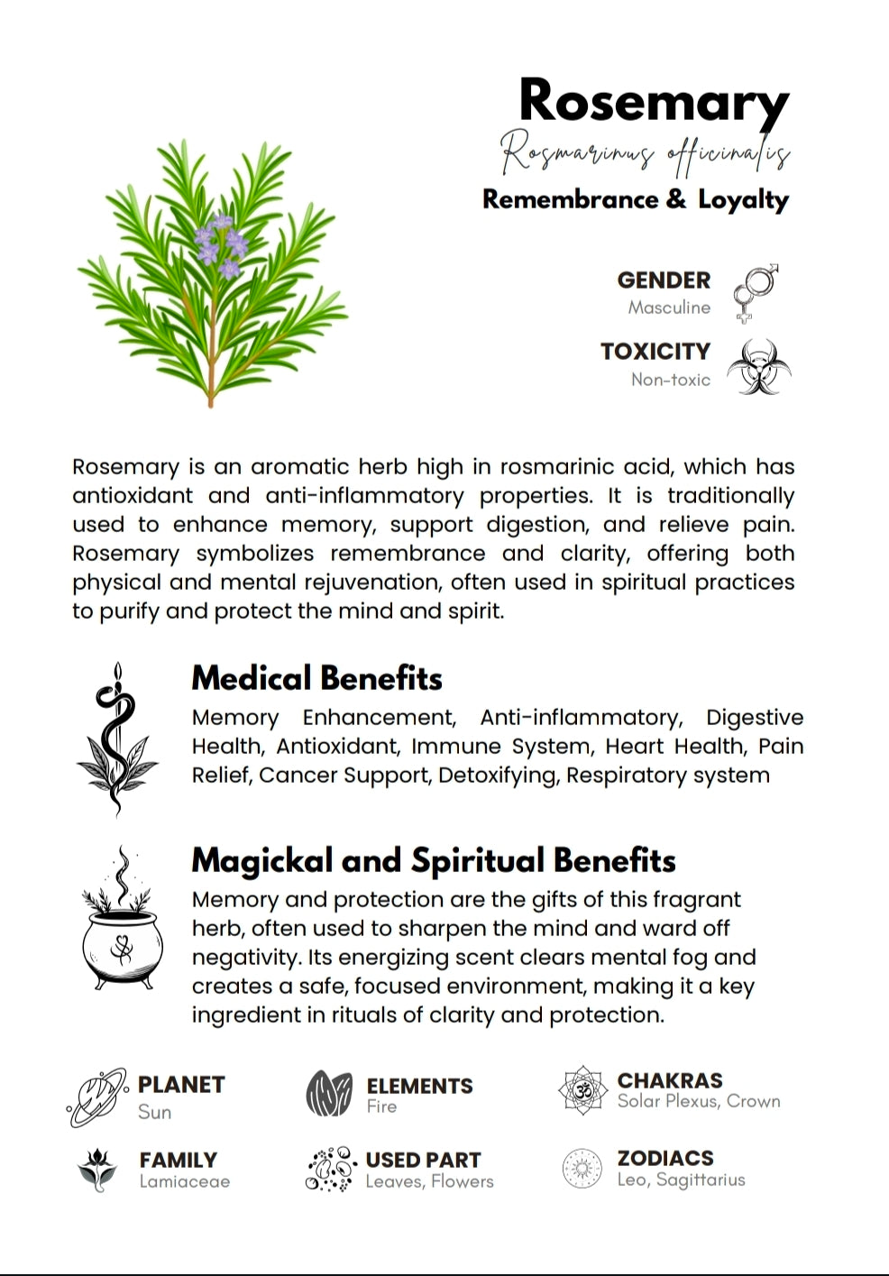 Rosemary 10g