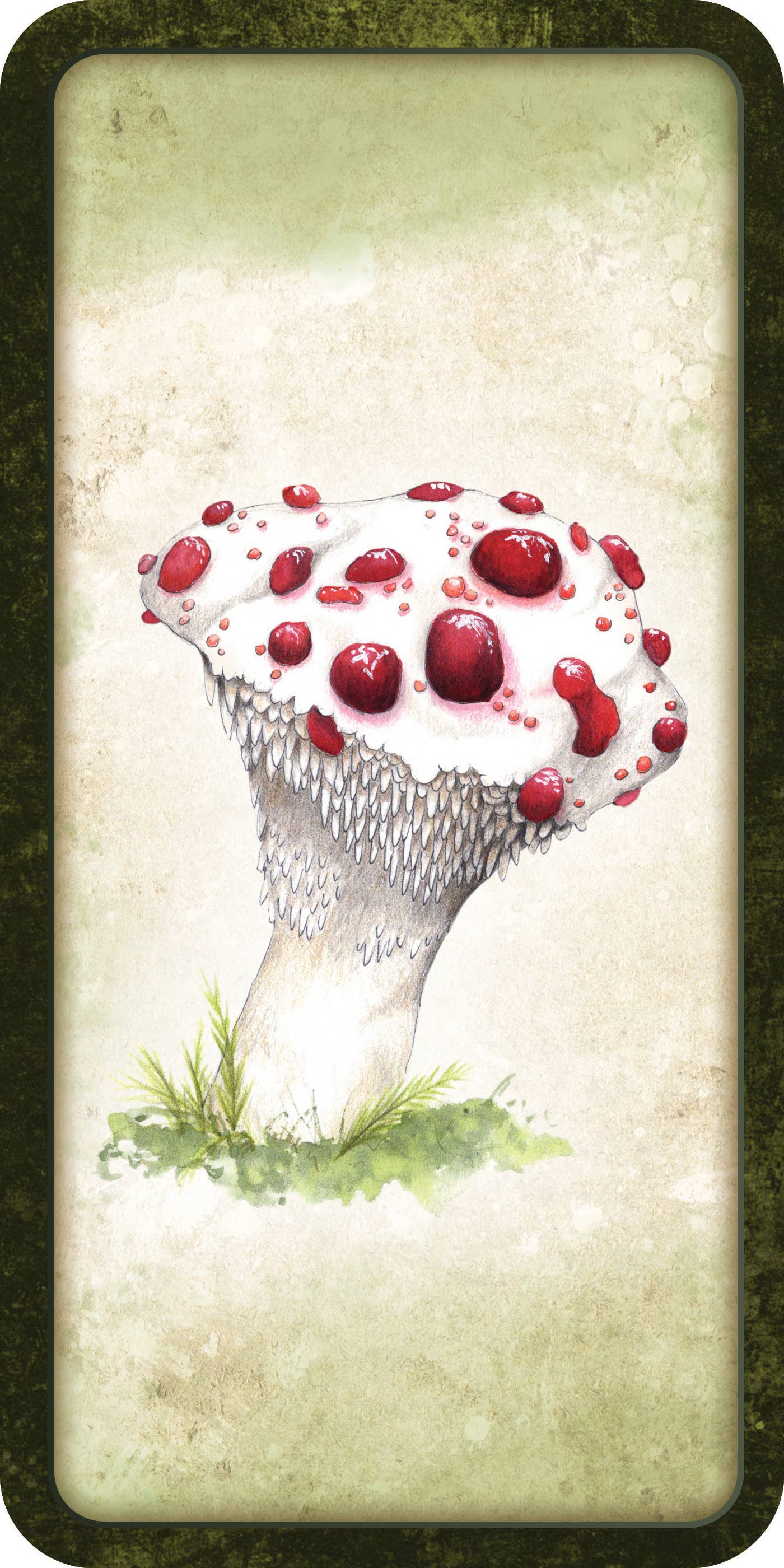 Mushroom Affirmations