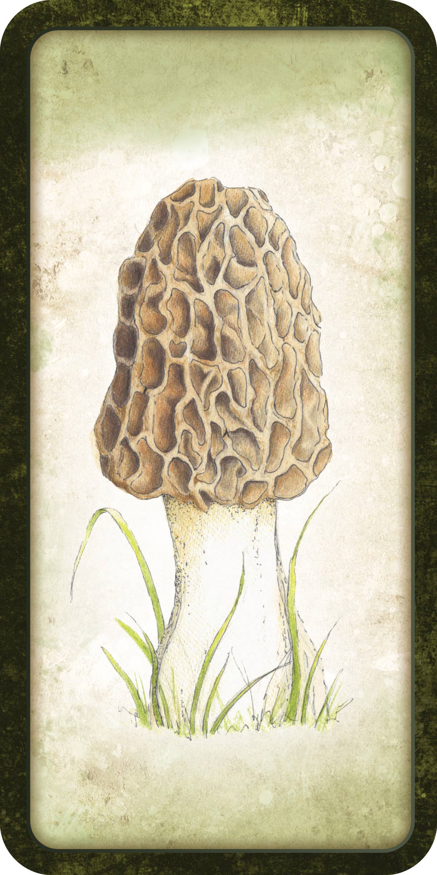 Mushroom Affirmations