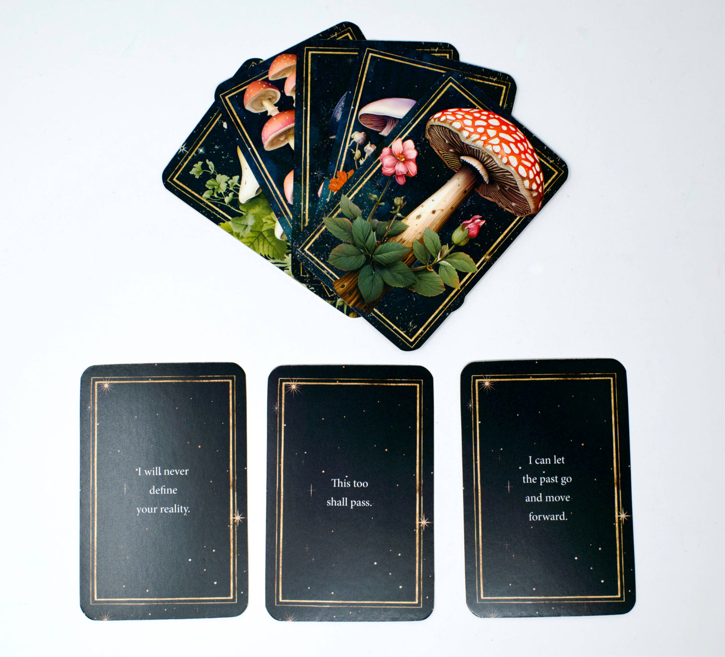 Mushrooms: Daily Doses of Wisdom