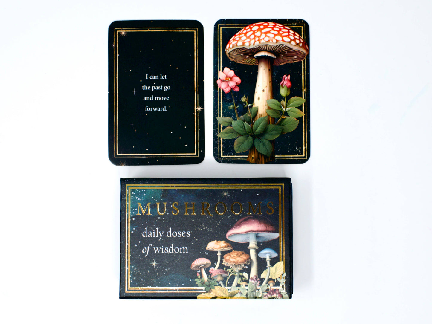 Mushrooms: Daily Doses of Wisdom