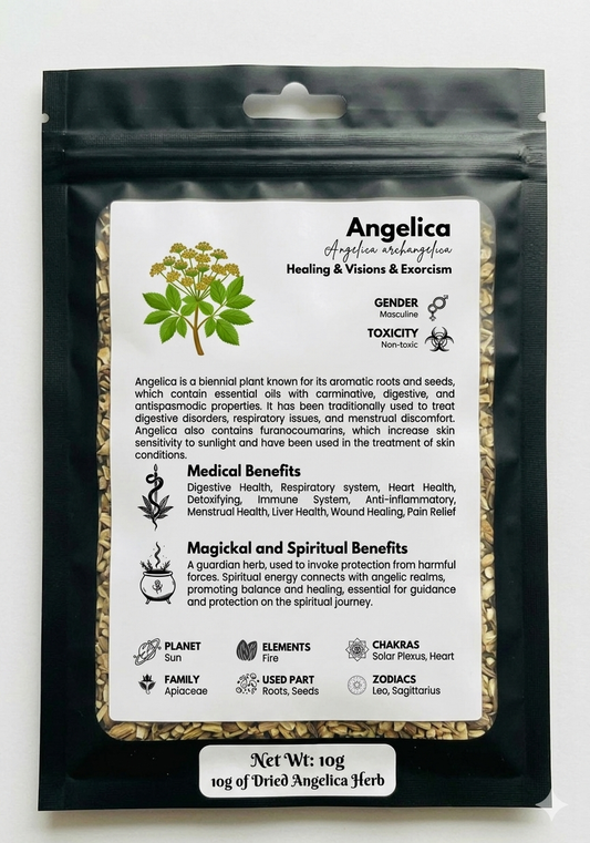 Angelica 10g